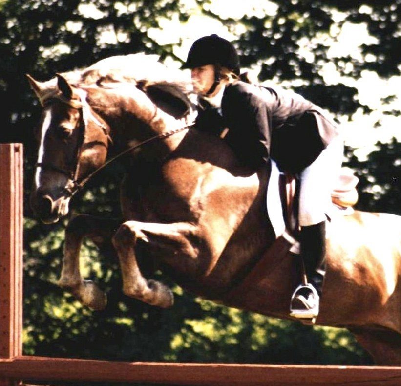 silver bay horse jumping over a jump, ridden by Sheri Spencer